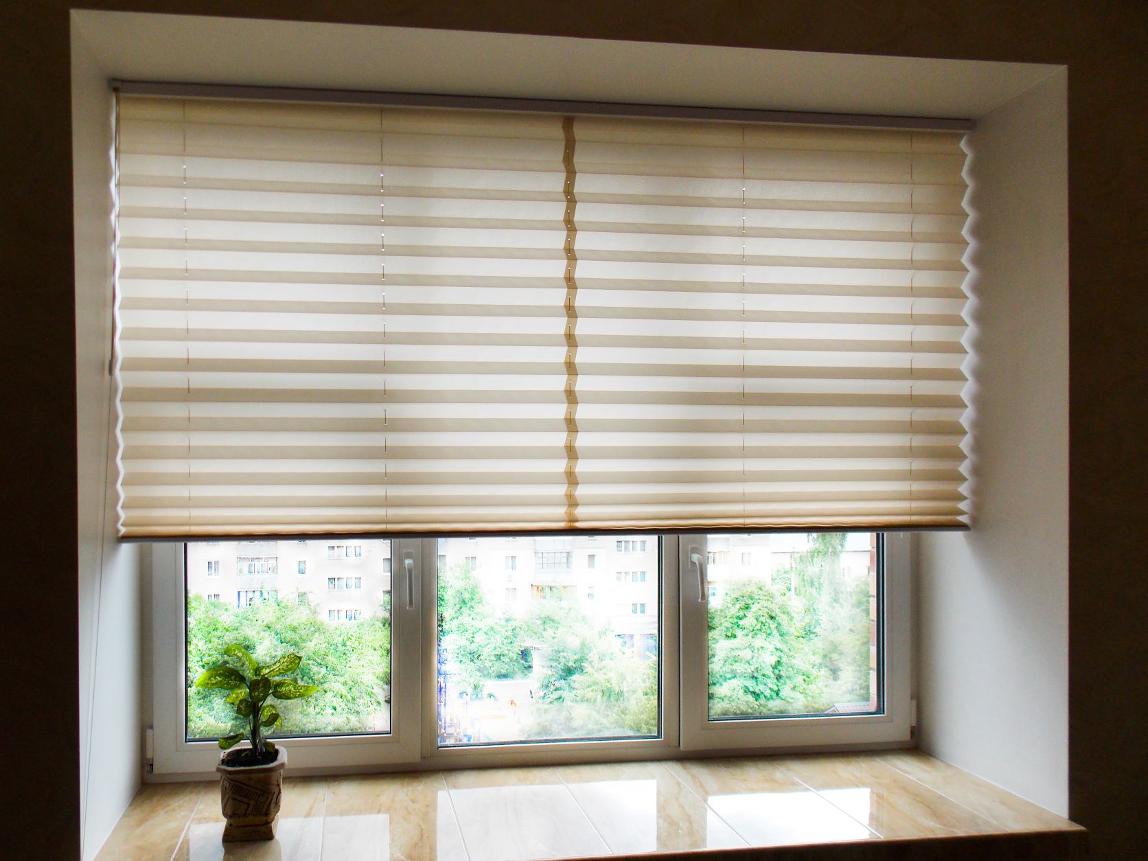 single cell cellular shades