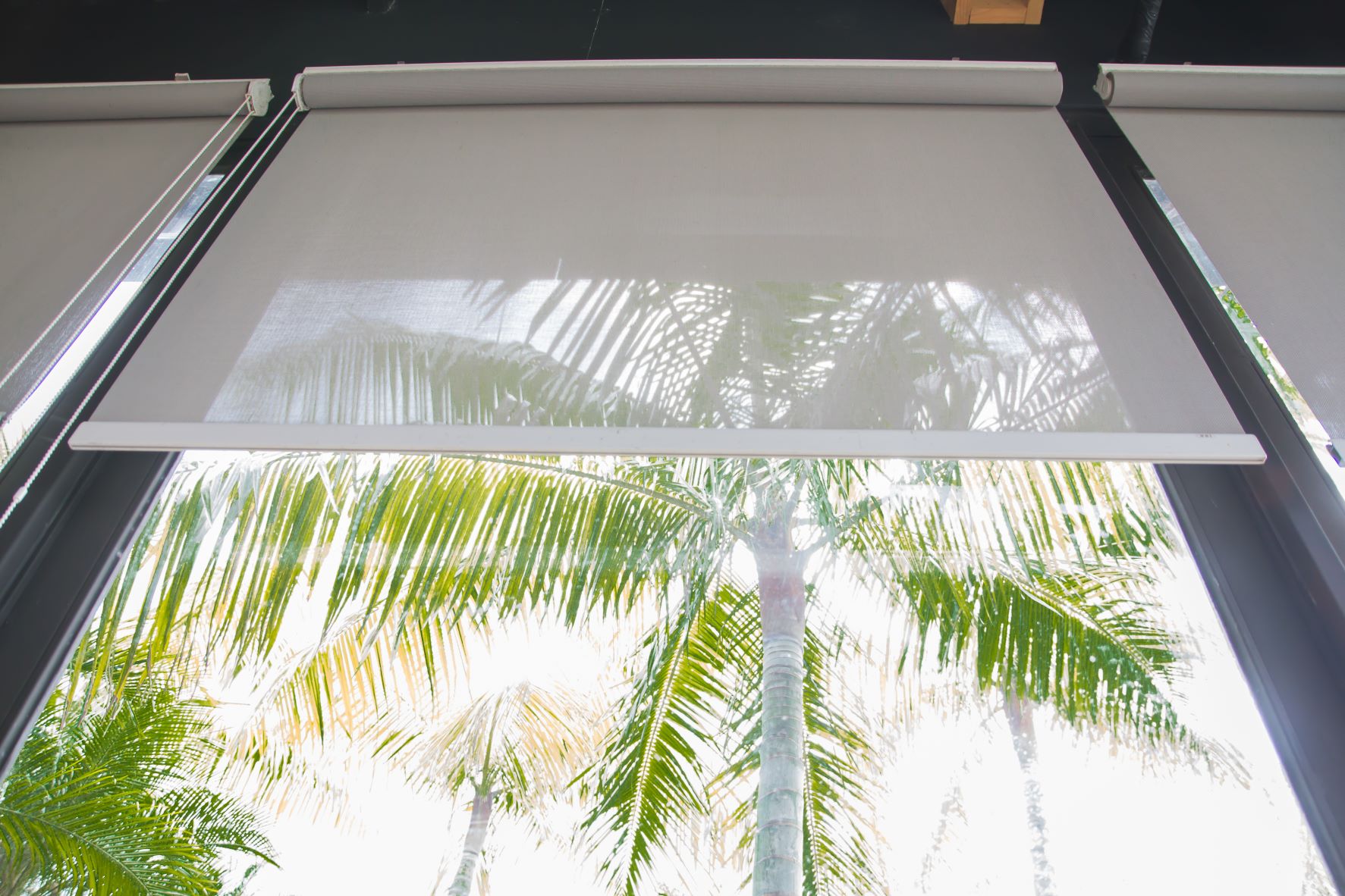 Window with White Transparent Roller Shade
