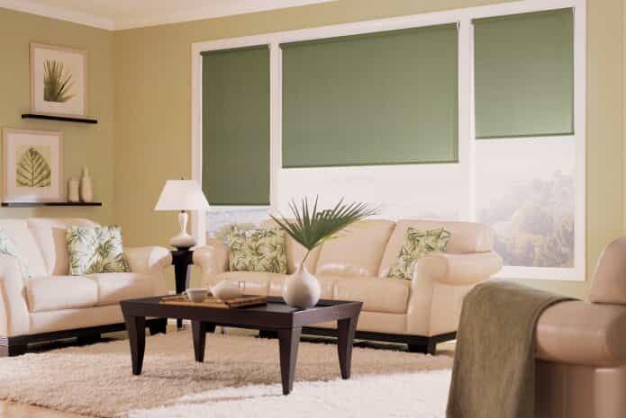living room with roller shades