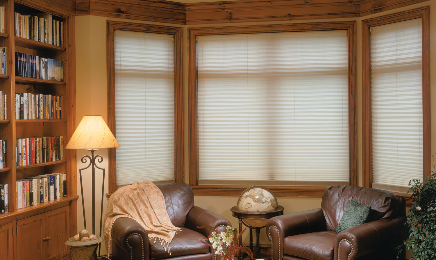 cellular shades in library office
