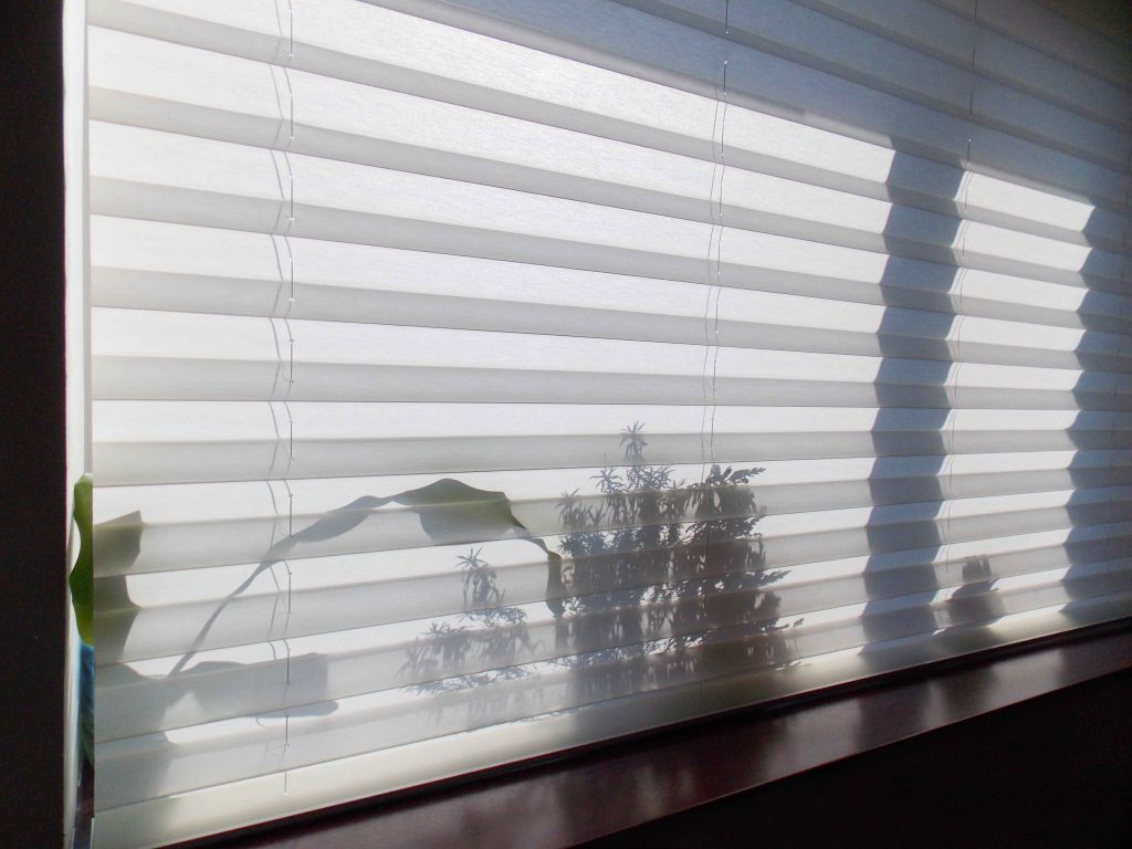 cellular shades