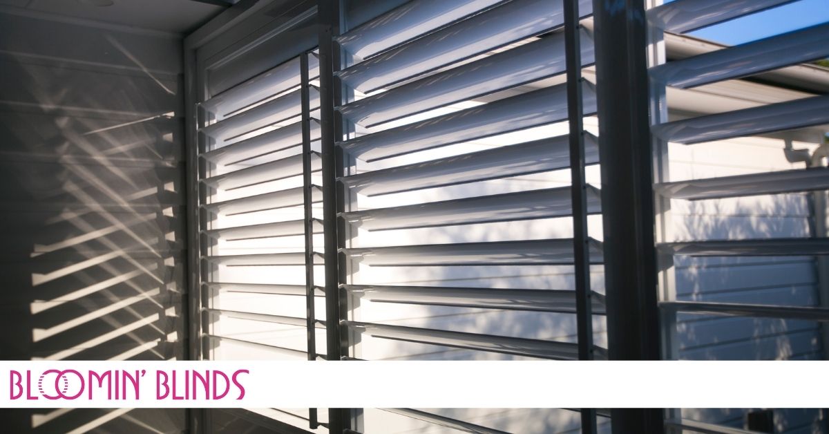 shutters on window