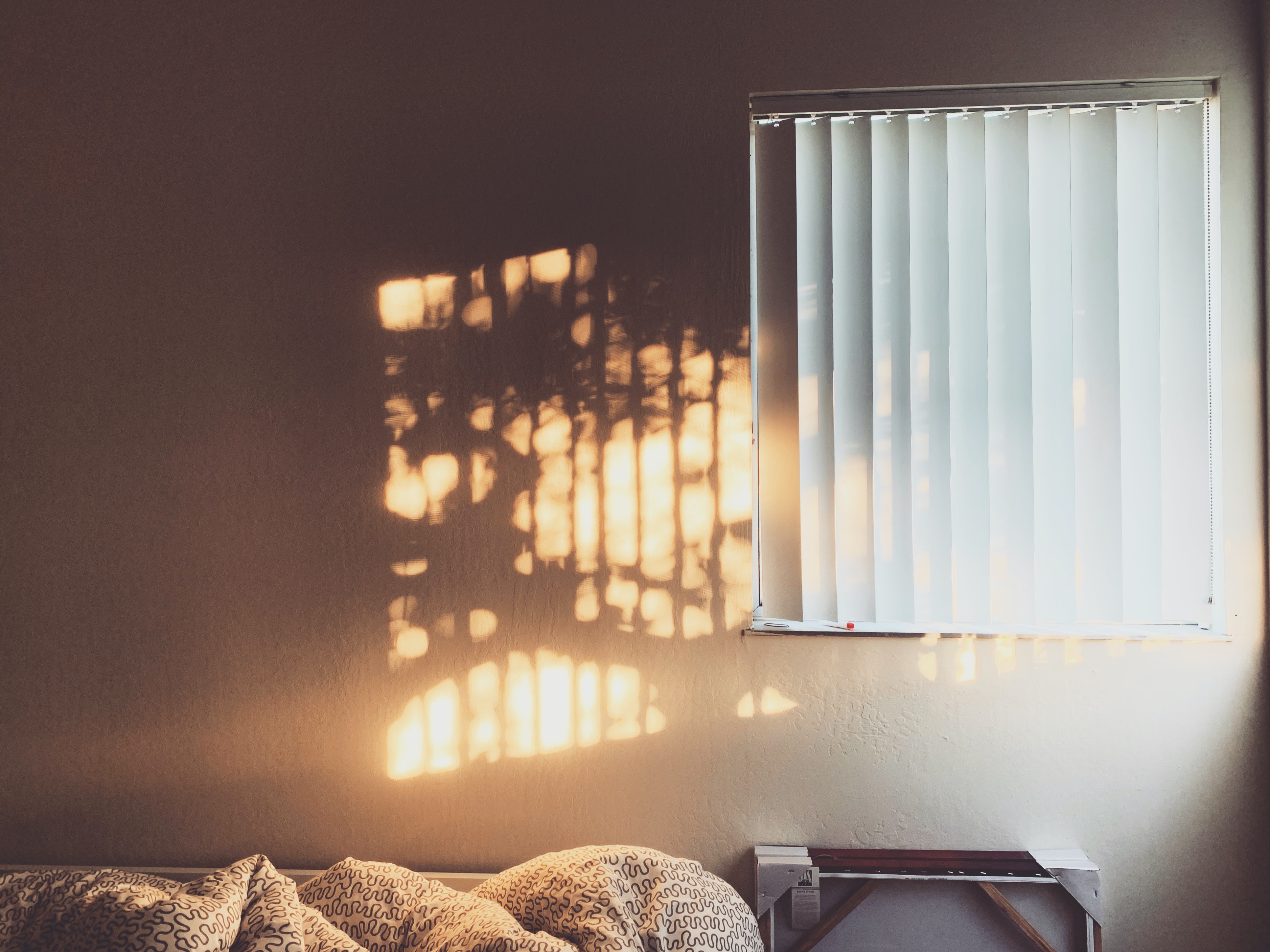 vertical blinds