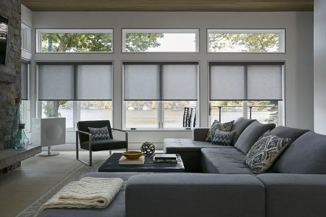 Blinds for Window