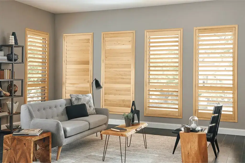 Custom Window Shades
